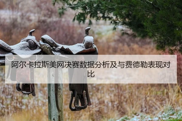 阿尔卡拉斯美网决赛数据分析及与费德勒表现对比