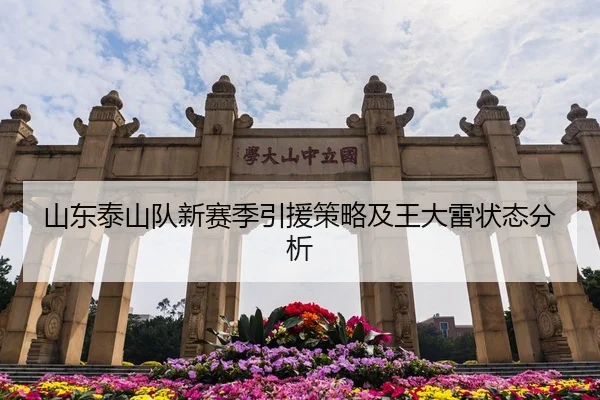 山东泰山队新赛季引援策略及王大雷状态分析